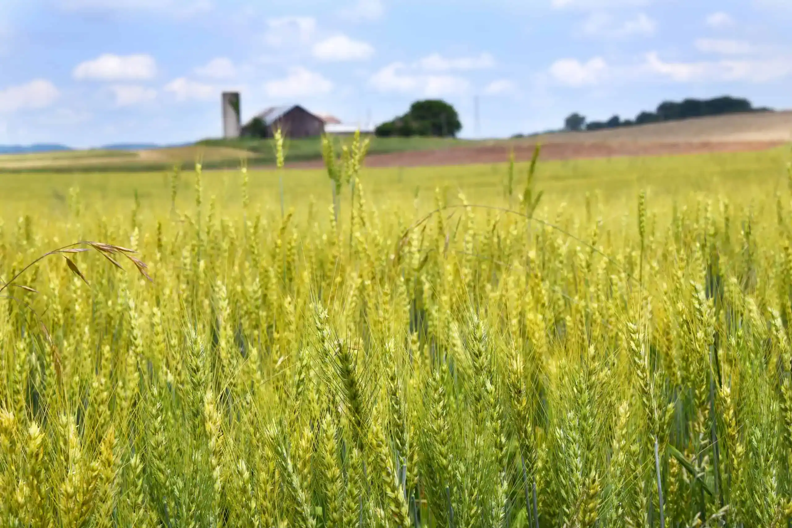 Farm Insurance Pennsylvania
